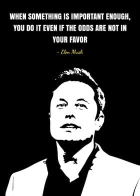 Elon Musk quotes