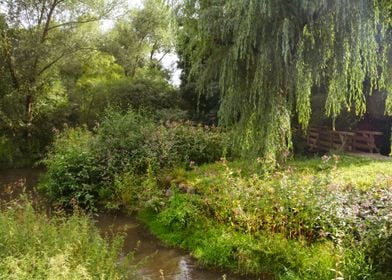 Landscape at a small river