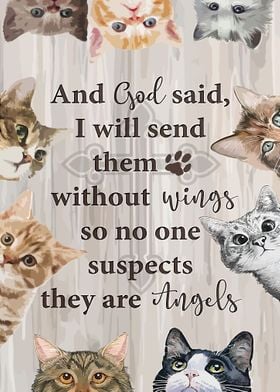 Cat and god said I will se