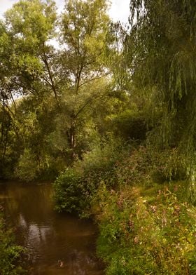 Along the river