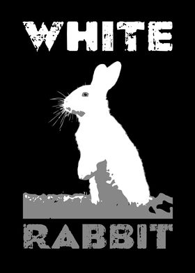 White Rabbit