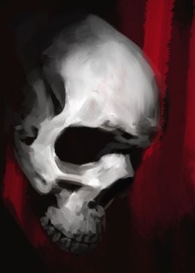 Skull In profile