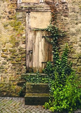 The old door