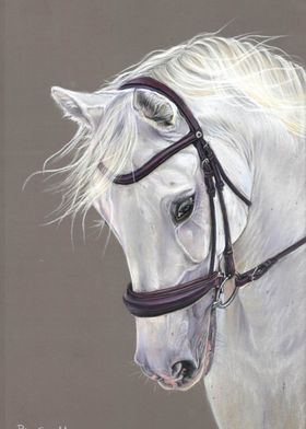 White Horse