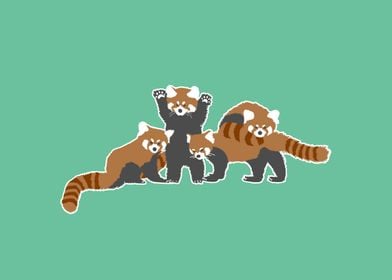 Cute red panda family