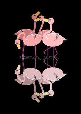 Flamingos Flamingo