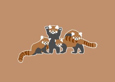 Cute red panda family