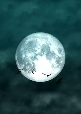 Minimal Moon and Birds