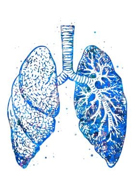 Lung Anatomy