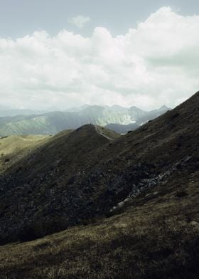 Mountain Trail