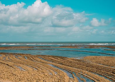 Oceanic landscape