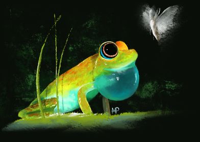 Frog and Moth