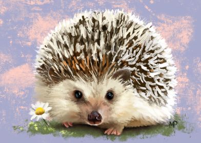 Cute Hedgehog