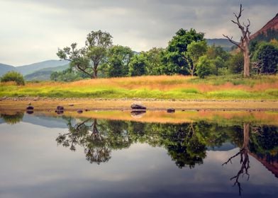 Horizon Reflections