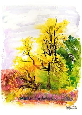 Yellow Autumn Tree