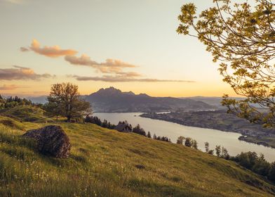 Seebodenalp Sunset