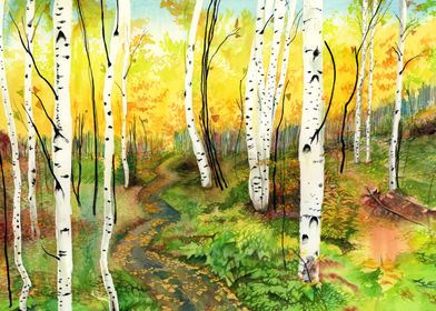 Yellow Birch Forest