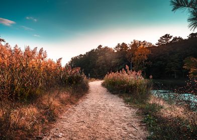 Sandy Sunset Trail