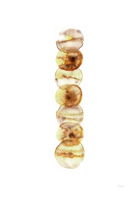 Amber totem