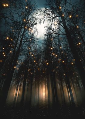 MAGICAL FOREST LIGHTS