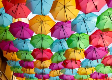 Colorful Umbrella