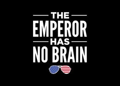 The Emperor Has No Brain 