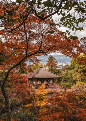 Silver Pavilion Kyoto