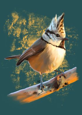 Crested Tit