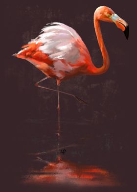 Flamingo