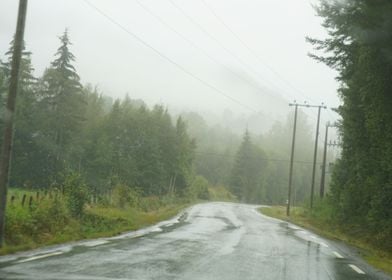 Rainy Norwegian street