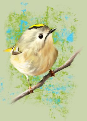 Goldcrest