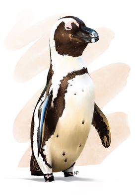 Humboldt Penguin