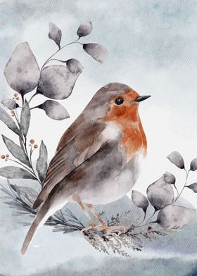 Robin Bird