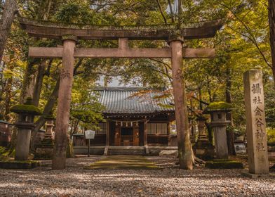 Japanese Shrine 