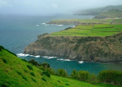 Coastal landscape