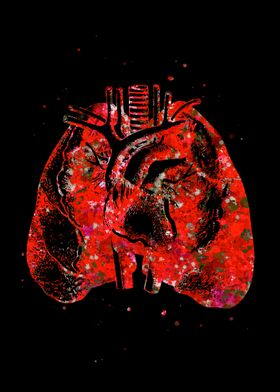 Lung and Heart