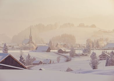 Foggy Winter Morning