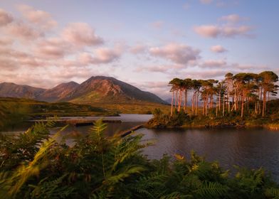 Connemara serenity