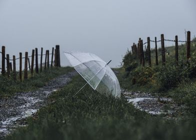 Umbrella in the rain