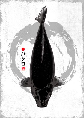 Hajiro Koi Fish