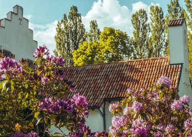 Flower Church