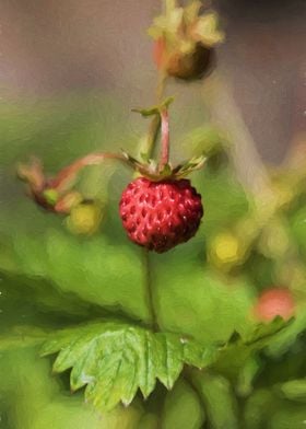 strawberries in the forest