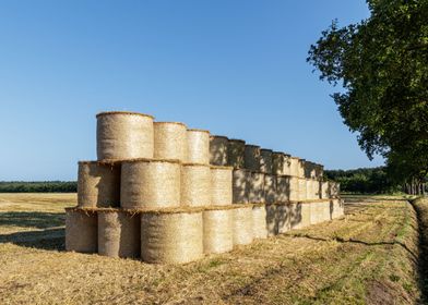 Farmland