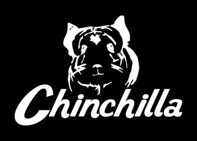 Chinchilla Chinchillas