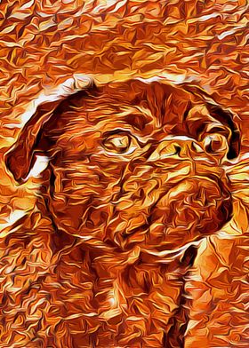 Pug Gold 1