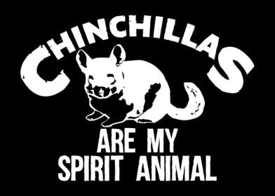 Chinchilla Spirit Animal