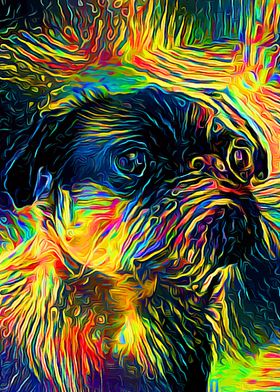 Pug Dreamer