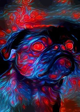 Pug Galaxy