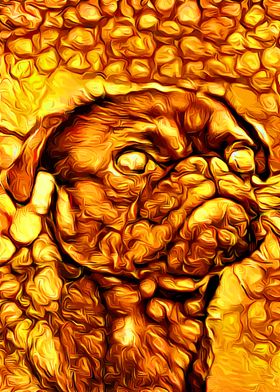 Pug Gold 2