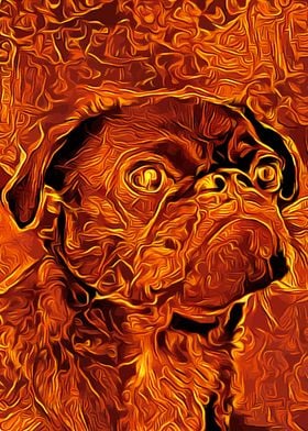 Pug Golden 2